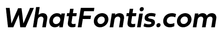 Fieldwork Italic DemiBold