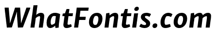 Skolar Sans Latin Compressed Bold Italic