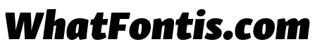 Skolar Sans Latin Extended Black Italic