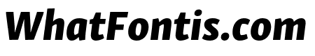 Skolar Sans PE Extrabold Italic