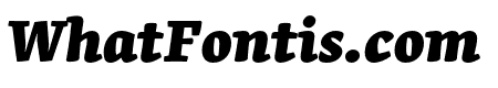 Skolar Latin Extrabold Italic