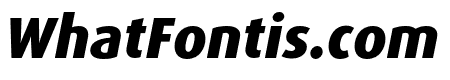 Dax Pro Wide Extrabold Italic
