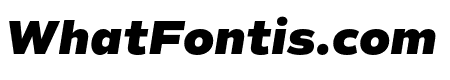 Commuters Sans Heavy Italic