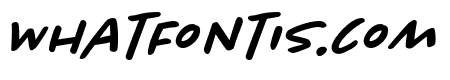 Chantal Medium Italic