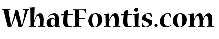 Nueva Std Bold