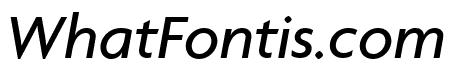 Agenda MediumItalic