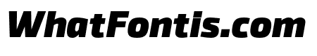 Byker Black Italic