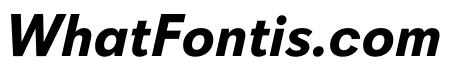 Davis Sans Bold Italic