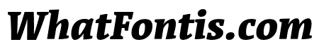 Acuta Black Italic