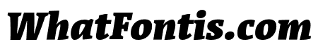Acuta Fat Italic