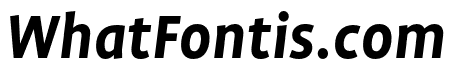 Profile Pro Bold Italic