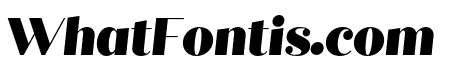 Quiche Display Black Italic
