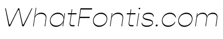 Gopher Thin Italic