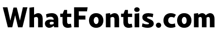 Rival Sans Narrow ExtraBold