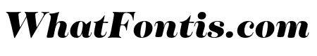 Tenez Black Italic