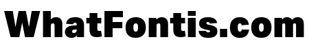 Aktiv Grotesk Black