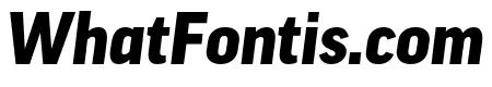 Good Pro Cond Black Italic