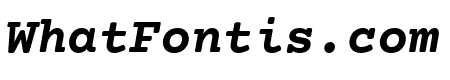 Courier Prime Bold Italic