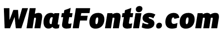 Ronnia Condensed Heavy Italic