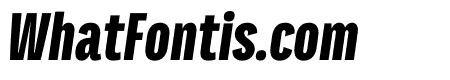 Titular Heavy Italic