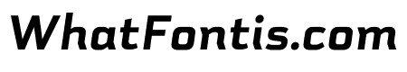 Schwager Sans Black Italic