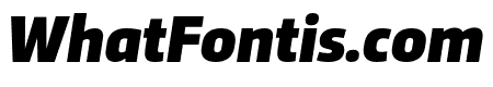 Trasandina  Black Italic