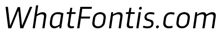 Trasandina  Book Italic