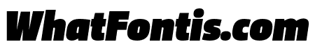 Trasandina  Ultra Italic