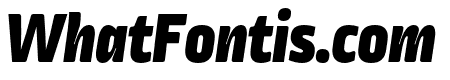 Ropa Mix Pro Black Italic