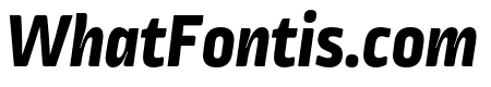 Ropa Mix Pro ExtraBold Italic