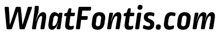 Ropa Soft Pro Bold Italic