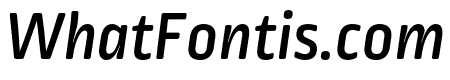 Ropa Soft Pro Medium Italic