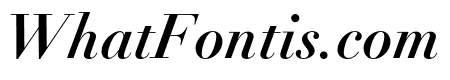 Didot LT Pro Bold Italic