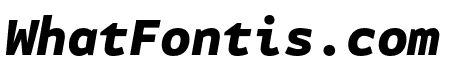 Attribute Mono Black Italic