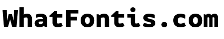 Attribute Mono Black