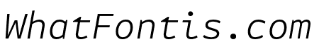 Attribute Mono Light Italic