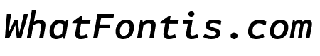 Attribute Mono Medium Italic