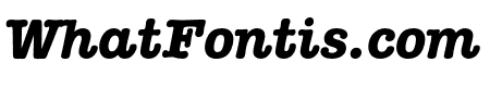 American Typewriter ITC Pro Bold Italic