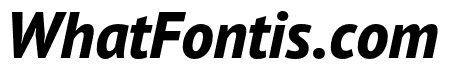 PT Sans Pro Extra Bold Italic