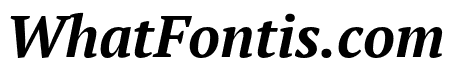 PT Serif Pro Bold Italic