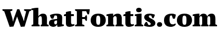 PT Serif Pro Extended Black