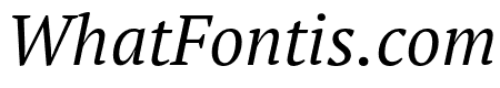 PT Serif Pro Extended Book Italic