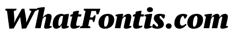 PT Serif Pro Narrow Black Italic