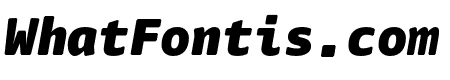 Nuvo Mono Pro Black Italic