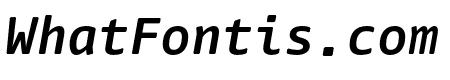 Nuvo Mono Pro Bold Italic