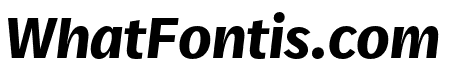 Real Head Pro Bold Italic