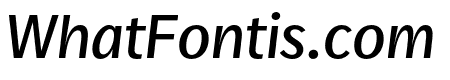 Real Text Pro Book Italic