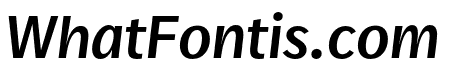 Real Text Pro Medium Italic
