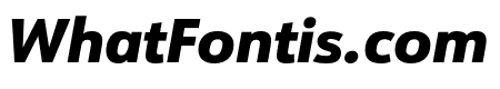 URW Form Heavy Italic