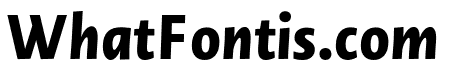 Novel SansCond Pro ExtraBold Italic